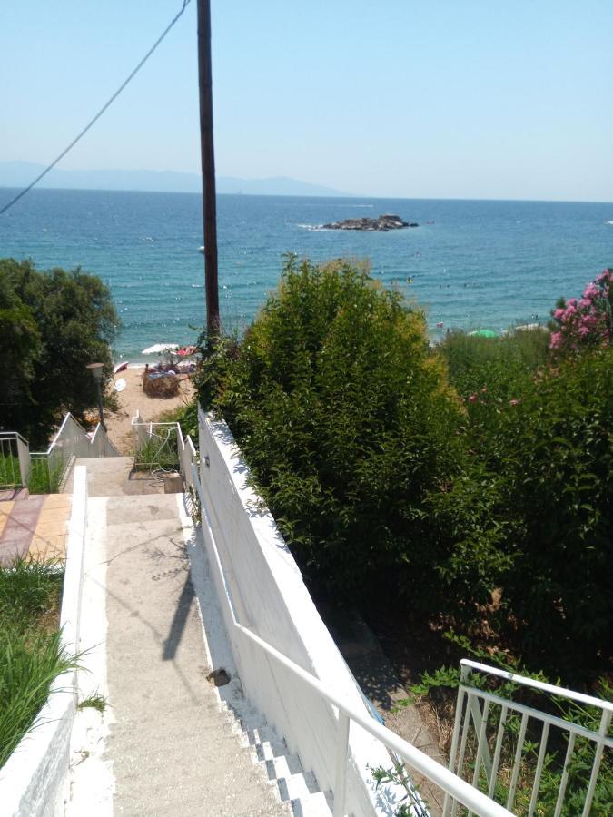 Basileia'S Home PalaiónTsiflíkion Dış mekan fotoğraf