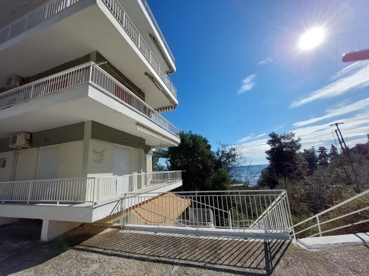 Basileia'S Home PalaiónTsiflíkion Dış mekan fotoğraf