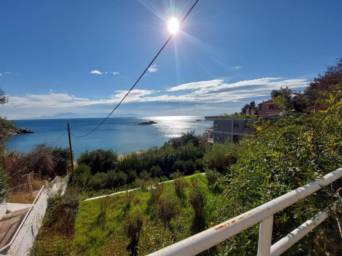 Basileia'S Home PalaiónTsiflíkion Dış mekan fotoğraf