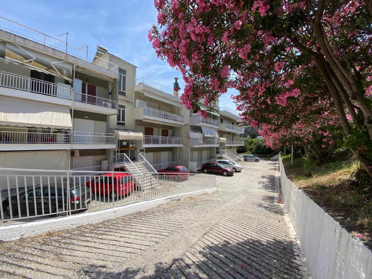 Basileia'S Home PalaiónTsiflíkion Dış mekan fotoğraf