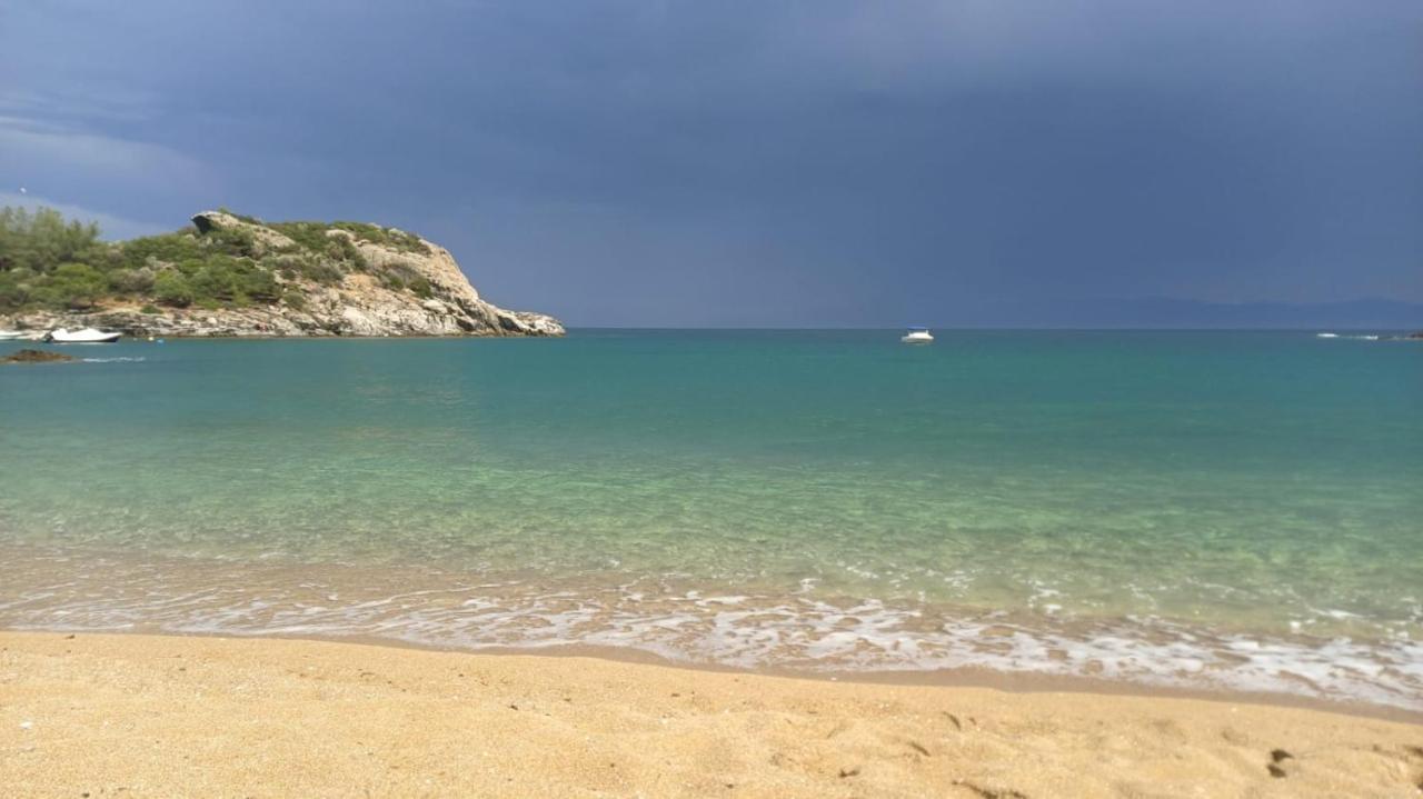 Basileia'S Home PalaiónTsiflíkion Dış mekan fotoğraf