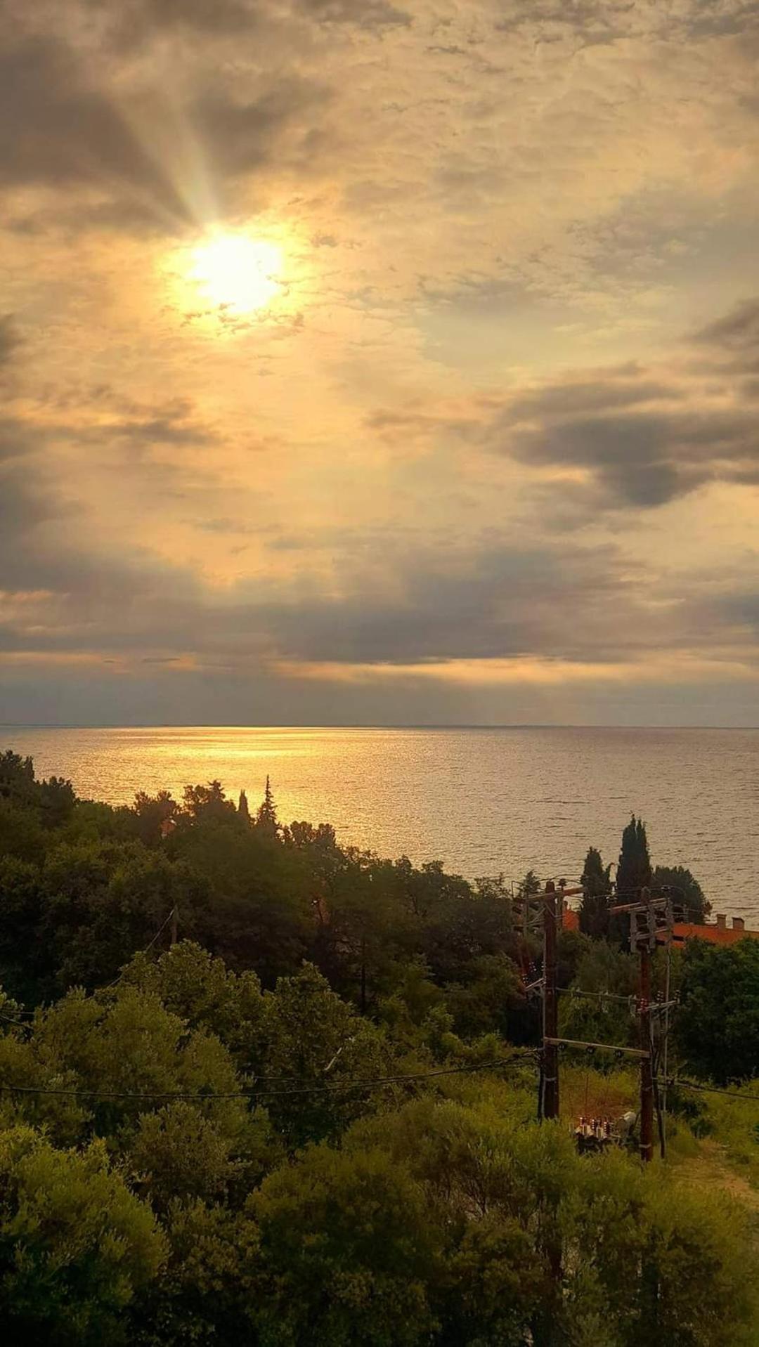 Basileia'S Home PalaiónTsiflíkion Dış mekan fotoğraf